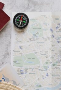 Best Course to Study in New Zealand