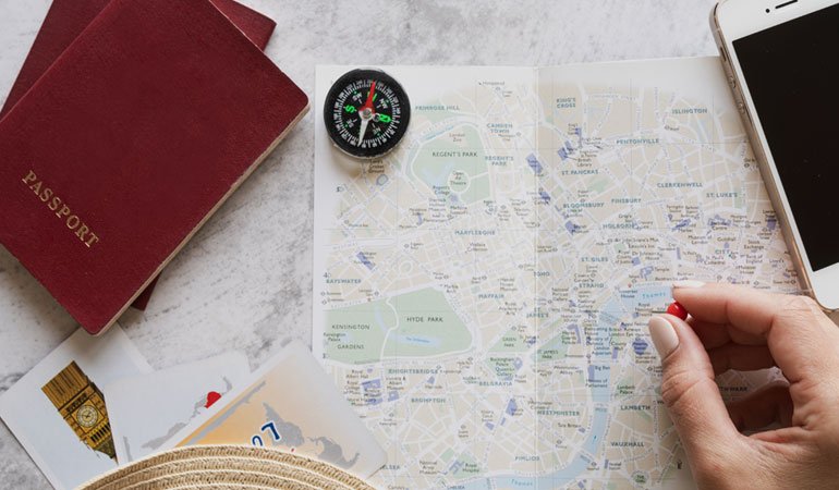 Best Course to Study in New Zealand